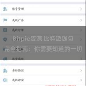 Bitpie资源 比特派钱包完全指南：你需要知道的一切