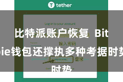 比特派账户恢复  Bitpie钱包还撑执多种考据时势
