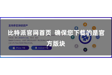 比特派官网首页 确保您下载的是官方版块