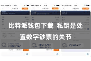 比特派钱包下载  私钥是处置数字钞票的关节