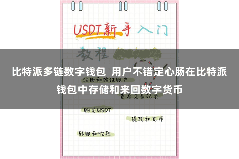 比特派多链数字钱包  用户不错定心肠在比特派钱包中存储和来回数字货币