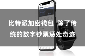 比特派加密钱包  除了传统的数字钞票惩处奇迹