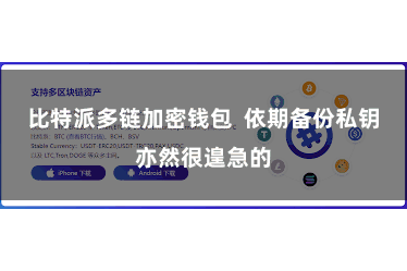 比特派多链加密钱包  依期备份私钥亦然很遑急的